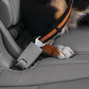 Kurgo Direct to Seatbelt Tether